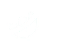 Project Solutions Chile